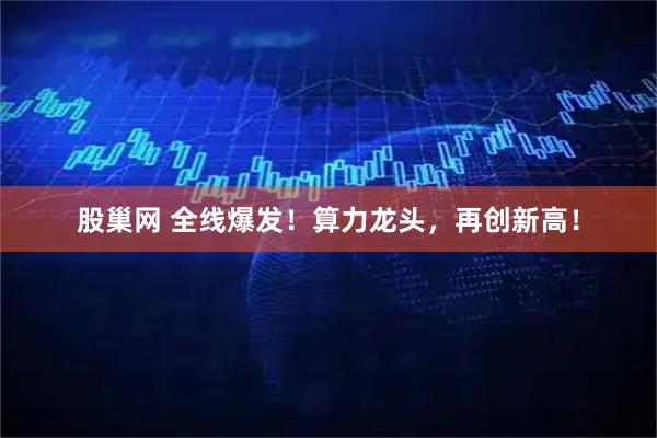 股巢网 全线爆发！算力龙头，再创新高！