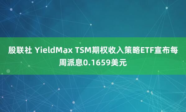 股联社 YieldMax TSM期权收入策略ETF宣布每周派息0.1659美元
