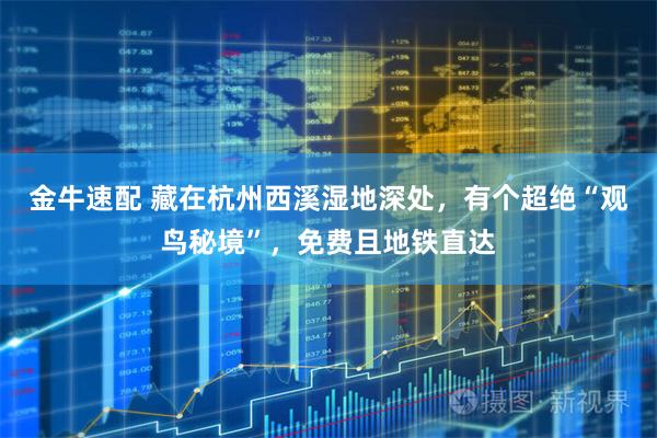 金牛速配 藏在杭州西溪湿地深处，有个超绝“观鸟秘境”，免费且地铁直达