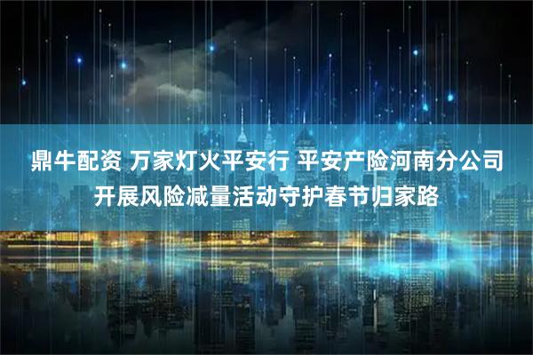 鼎牛配资 万家灯火平安行 平安产险河南分公司开展风险减量活动守护春节归家路