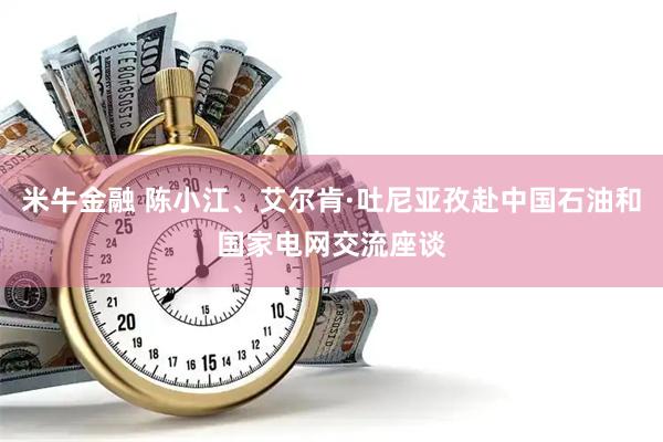 米牛金融 陈小江、艾尔肯·吐尼亚孜赴中国石油和国家电网交流座谈