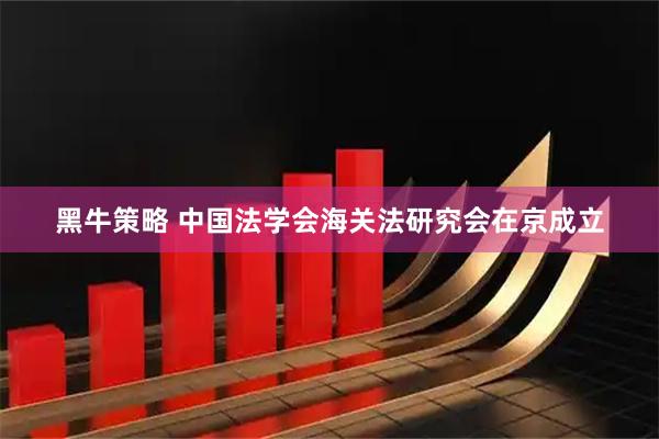 黑牛策略 中国法学会海关法研究会在京成立