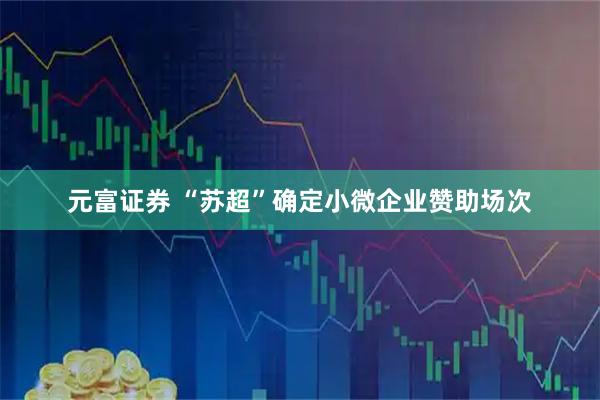 元富证券 “苏超”确定小微企业赞助场次