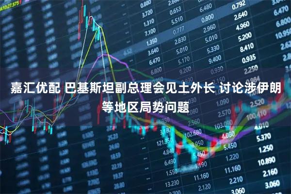嘉汇优配 巴基斯坦副总理会见土外长 讨论涉伊朗等地区局势问题