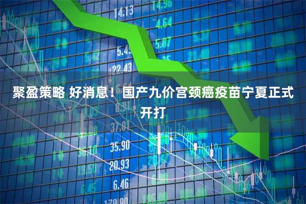 聚盈策略 好消息！国产九价宫颈癌疫苗宁夏正式开打