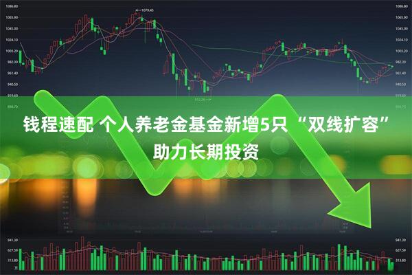 钱程速配 个人养老金基金新增5只 “双线扩容”助力长期投资