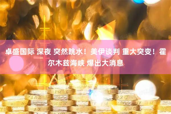 卓盛国际 深夜 突然跳水！美伊谈判 重大突变！霍尔木兹海峡 爆出大消息