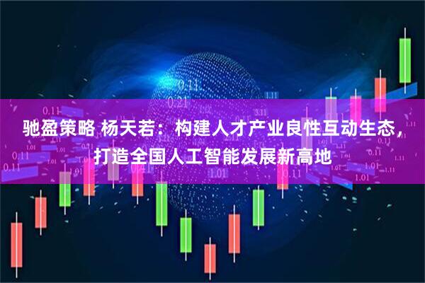 驰盈策略 杨天若：构建人才产业良性互动生态，打造全国人工智能发展新高地
